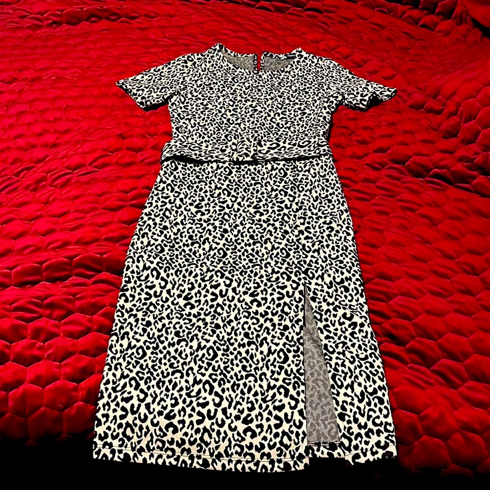 Zara Leopard Print Dress, Size Small.